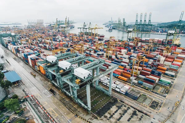 Container Shipping from China to Kuwait: Complete FCL & LCL Guide with 2026 Rates
